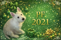 PF 2021